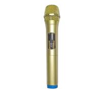 Amagogo Microfono Giocattolo Finto attività Spettacolo Registrazione Costume Accessorio Giocattolo Finto Canto Decorativo per Bambini Piccoli Reporter Pratica, Oro Blu