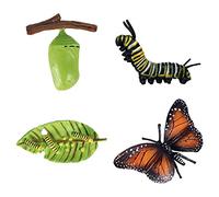 Amagogo Modellino di Insetti E Animali per Bambini, Gioco di Ruolo E Biologia Prescolare, Ideale Come Regalino per Feste, Un