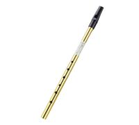 Amagogo Tin Whistle Durevole a Custodia e Accessori, Portatile, Piffero Irlandese, per Scuola, Bambini, Oro, C Key