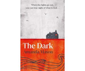Amanda Mason The Dark (Tascabile)