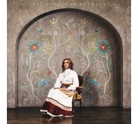 Amanda Rheaume The Spaces In Between (Vinyl LP)
