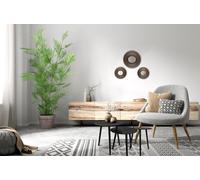 AMANDA SET 3 SPECCHI DECORATIVI DA PARETE D.30-2X20CM NERO E ORO