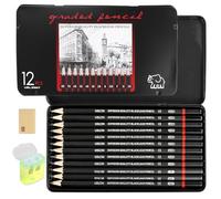 AMANDELIZABE Set di 12 matite per carta, 8B 7B 6B 5B 4B 3B 2B B HB F H 2H,con 1 temperamatite manuale