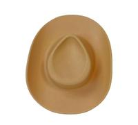 amangul Fermaglio per capelli da cowgirl, accessorio per capelli da sposa, feste in stile occidentale, per feste in maschera (y)
