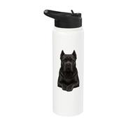 Amante dei cani Cane Corso Stainless Steel Insulated Water Bottle