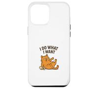 Amanti dei gatti Divertente Umoristico Testardo fare quello che voglio scherzo Custodia per iPhone 12 Pro Max