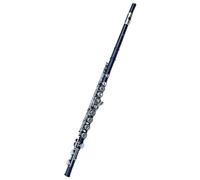 Amanti della musica Flauto Flauto A 16 Fori Strumento A Fiato Chiave Chiusa Aggiungi Il Flauto Da Concerto Placcato In Nichel Tono E Chiave C