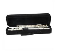 Amanti della musica Flauto Strumento Per Flauto Con Accordatura In Do A 16 Fori Fori Aperti E Chiusi Strumento Per Principianti Placcato In Argento Con Chiave Mi