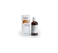 AMARA 50ML GTT PASCOE