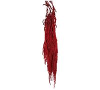 Amaranthus Fiore artificiale, 24-31.5 Fiori secchi sospesi, Amaranto secco naturale naturale, piante secche riutilizzabili per decorazioni per la festa della parete per bouquet di nozze, rosso s