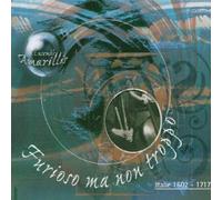 Amarillis Ensemble - Furioso Ma Non Troppo