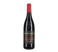 Amarone della Valpolicella Classico Domini Veneti 2022