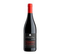 Amarone della Valpolicella Collina dei Ciliegi 2020