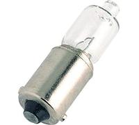 AMAS The Best Lampada alogena 12 volt attacco BAY9S per indicatori di direzione omologati - singola (trasparente, 6 watt)