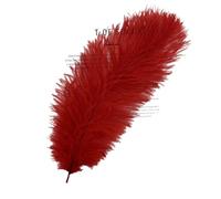 AMateschitz 10 pezzi Piume di struzzo naturali, piume di struzzo belle, piume decorative morbide, piume di struzzo per il fai da te, multicolore per matrimonio, casa, costumi, fai da te, rosso, 63,5