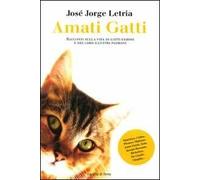 Amati gatti