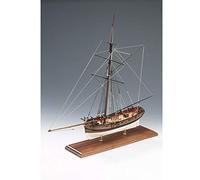 Amati- Scatola di Montaggio, Multicolore, B1300.01