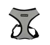 AMATUS HARNESS A Nero M Pettorina per cani