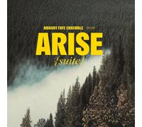 AMAURY FAYE ENSEMBLE ARISE SUITE (CD)