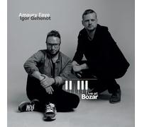 Amaury Faye - Live at Bozar