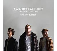 Amaury Faye Trio - Live In Brussels