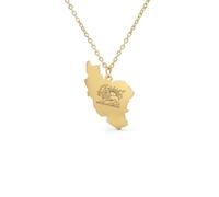 Amaxer Persia Iran Flag Ciondolo Collane per le donne Regolabile Vecchio Persiano Iraniano Leone Sole e Corona Mappa Gioielli Regali per le Donne, L50, Acciaio inossidabile, Non pietra preziosa