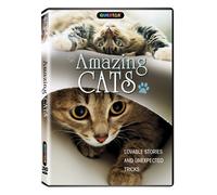 Amazing Cats (DVD) Hosted by John Ross Kelly Jones Dr. Aine McCarthy