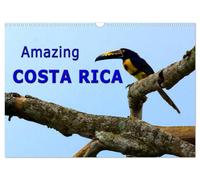 Amazing Costa Rica (Wall Calendar 2027 DIN A3 landscape), CALVENDO 12 Month Wall