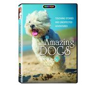 Amazing Dogs (DVD) Hosted by John Ross Terry Stokes Dr. Aine McCarthy