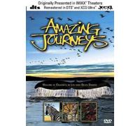 Amazing Journeys