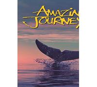 Amazing Journeys