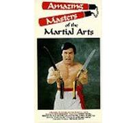 Amazing Masters of the Martial Arts