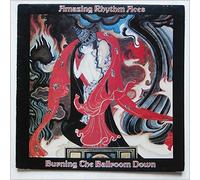 AMAZING RHYTHM ACES - BURNING THE BALLROOM DOWN LP (VINYL) UK ABC 1978