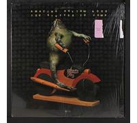 AMAZING RHYTHM ACES - too stuffed to jump LP