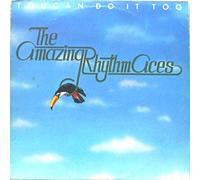 AMAZING RHYTHM ACES - TOUCAN DO IT TOO LP UK ABC 1977