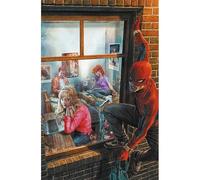 Amazing Spider-Man 13 Variant Amazing Visions Di Lee Bermejo