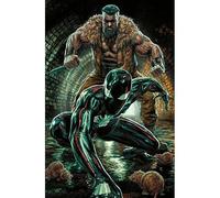 Amazing Spider-Man 16 (Spider-Man 892) Variant Amazins Visions 10 Lee Bermejo
