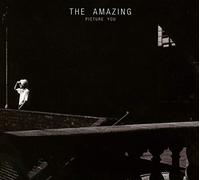 Amazing The - Picture You