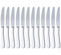 Amazon Basics Coltelli in acciaio inox con bordo arrotondato, confezione da 12, Argento
