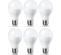 Amazon Basics Confezione da 6 lampadine a LED, con attacco Edison E27, piccole, da 13 W (equivalenti a 100 W), luce bianca fredda, non dimmerabili
