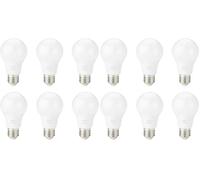 Amazon Basics Lampadina Edison a LED E27 con attacco a vite, 8 W (equivalenti a 60 W) bianco freddo, Non Dimmerabile (confezione da 12 pezzi)