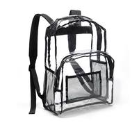 Amazon Basics Mochila Clásica de Diario Escolar, Transparente