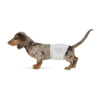 Amazon Basics Pannolini USA e Getta per Cani Maschi, Misura S, Confezione da 50, Bianco