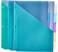 Amazon Basics - Set di 3 divisori in plastica a 2 tasche, 5 linguette, Formato lettera, Colore assortito