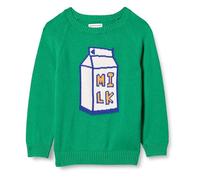 Amazon Essentials Maglione a Girocollo Bambini e Ragazzi, Verde Milk Carton, 2 Anni