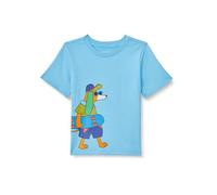 Amazon Essentials T-Shirt a Maniche Corte Bambini e ragazzi, Blu Chiaro Skater Cane, 10 anni