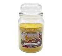 Amazzonia Candle Bamboo & White tea 530 Gr Candela Profumata Naturale in Cera di Soia doppio stoppino in cotone Profumatore per Ambiente bamboo te bianco Decorativa Giara in Vetro
