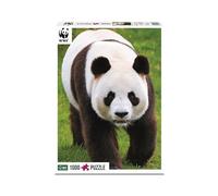 Ambassador 7230021 Puzzle da 1000 Pezzi, per Bambini dai 10 Anni in su, Motivo: Panda, Colore Mammiferi, 7230028