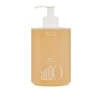 Amber 528 Scented Hand & Body Wash