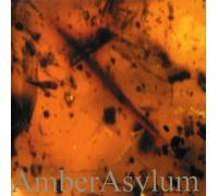 Amber Asylum - Frozen In Amber